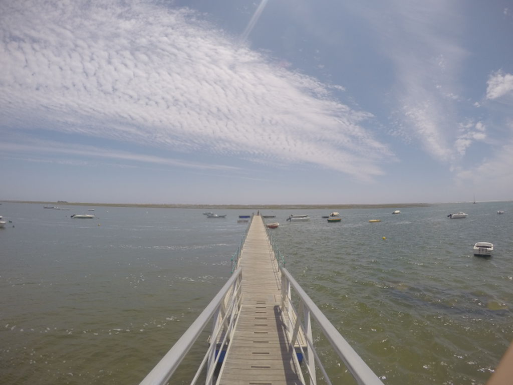 Spanish foliar fertilizers Algarve