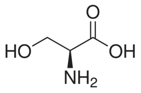 Acides aminés hydroxyliques - Artal