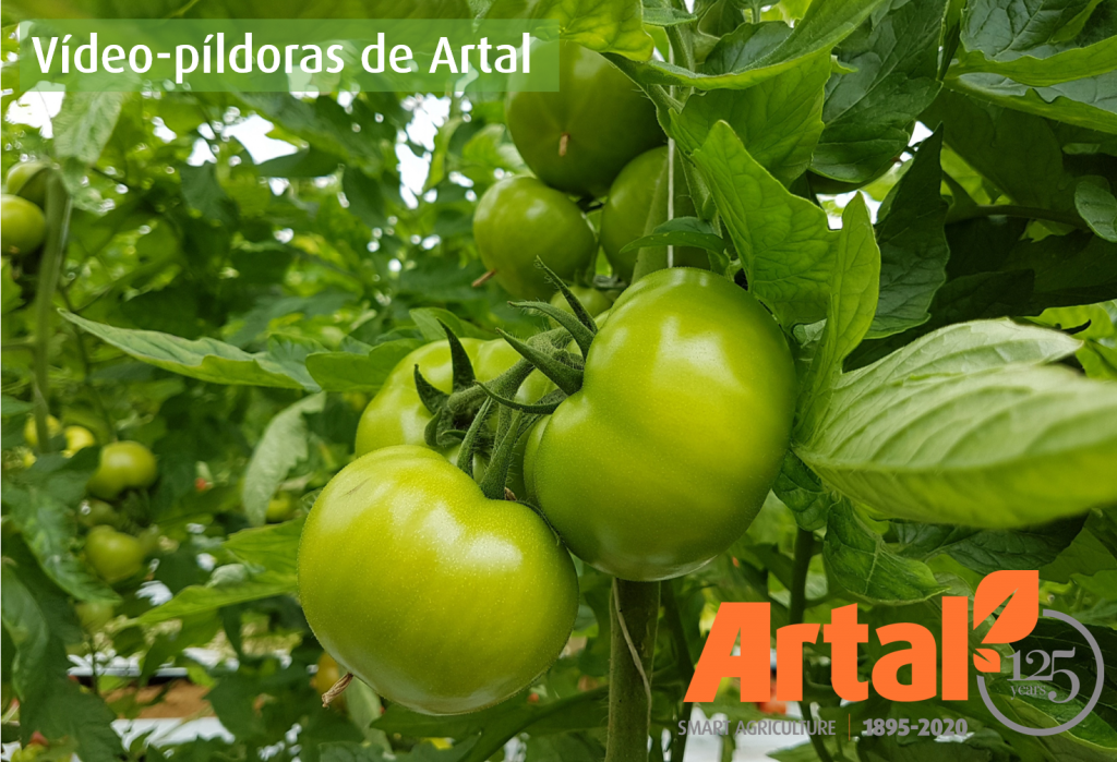 Vídeo-píldoras de Artal