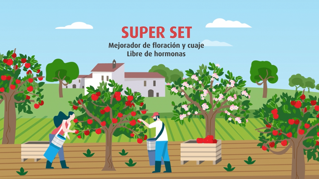 Super set, mejorador de floración y cuaje