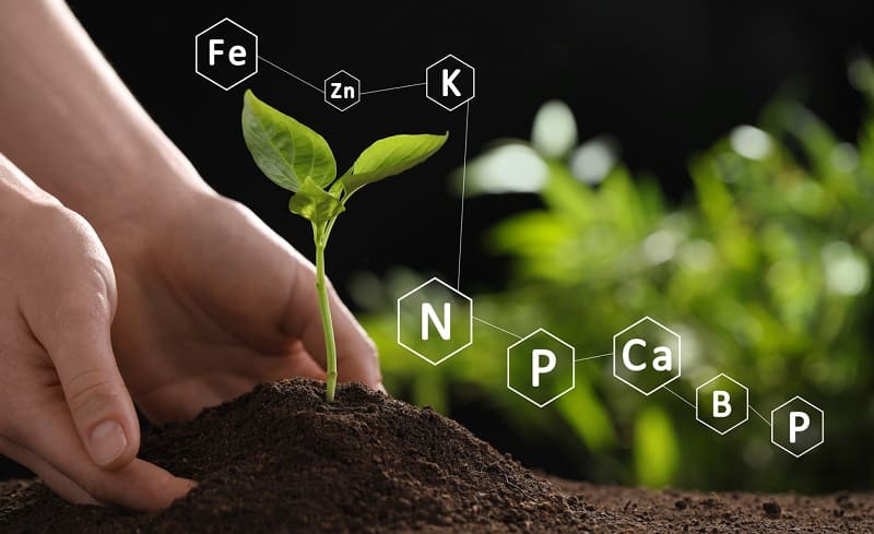 Fertilizantes inorgánicos