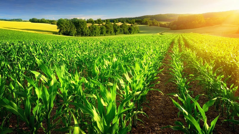 La importancia de los inductores en la agricultura