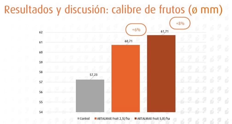 resultados de los ensayos