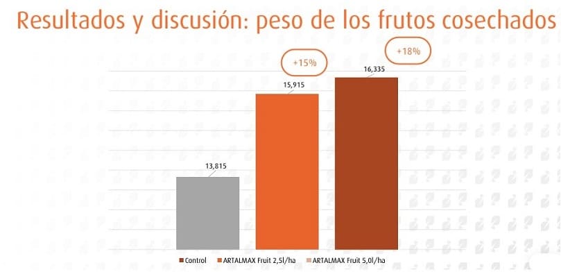 resultados ensayos