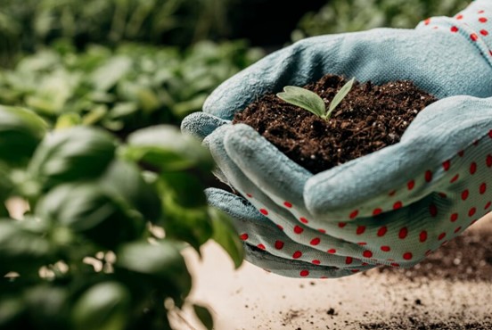 Beneficios de Primtal FG en la agricultura ecológica