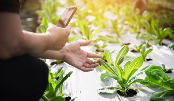 Introducción a la agricultura inteligente