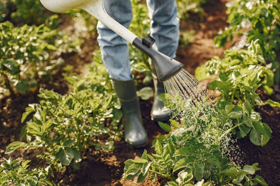 Agricultura sin residuos
