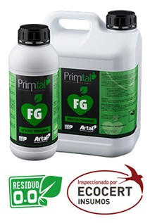Primtal FG