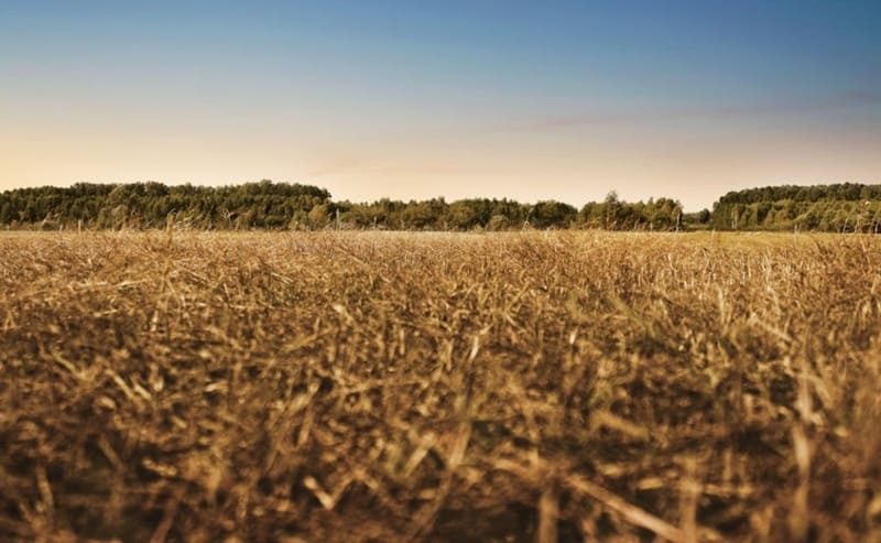 Campos de cultivo en otoño