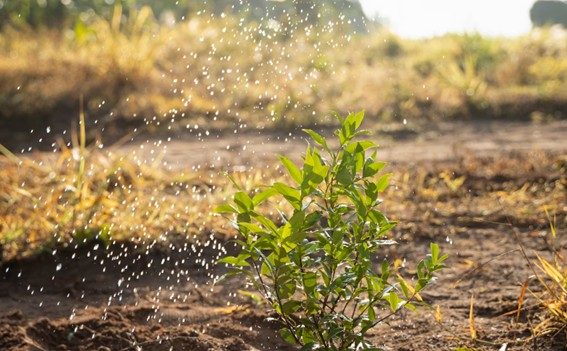 Soluciones para el manejo de salinidad