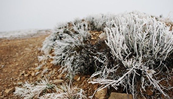 Beneficios de una correcta preparación invernal